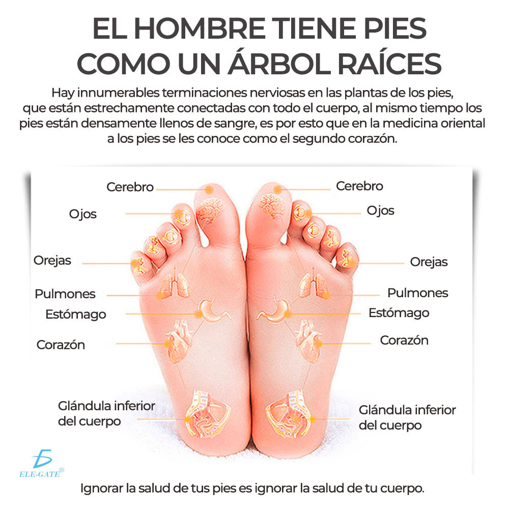 Masajeador Inteligente de pies y piernas EMS